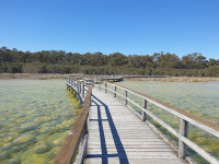 Lake Clifton Thrombolites